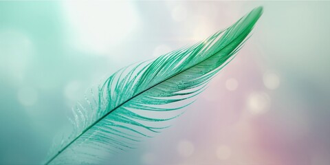 Detailed macro of a green bird feather pattern serving as a decorative texture for layouts