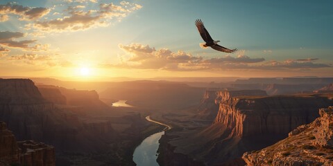 Bird in flight above rugged canyon terrain, highlighting wildlife movement and conservation, World Wildlife Day