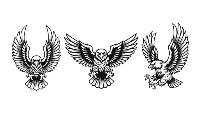 Stunning collection of fierce attacking eagle emblems perfect for dynamic sports team branding or powerful logo designs