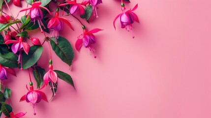 Vibrant Fuchsia Bloom
