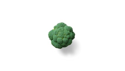 Fototapeta premium Broccoli arranged on a plain white surface for nutritional display