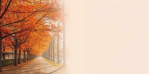 Red mountain ash trees in a park commemorating St. Petersburg's 300th anniversary, urban landscape background