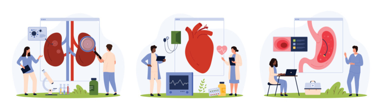 Medical examination of internal organs in hospital set. Tiny people check kidneys health with magnifying glass and stomach with endoscope, monitor heart on EKG machine cartoon vector illustration