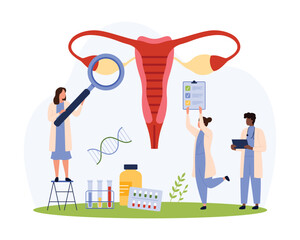 Health of female reproductive system, gynecology checkup vector illustration. Cartoon tiny people check diagram of ovary, cervix, fallopian tubes with magnifying glass, gynecologists examination