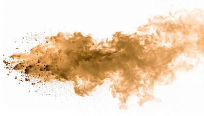 Dynamic cloud of brown dust and soil particles swirling on white backdrop. Smoky texture, sandstorm