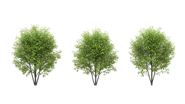 Three green trees digital asset isolated on transparent background - Powered by Adobe