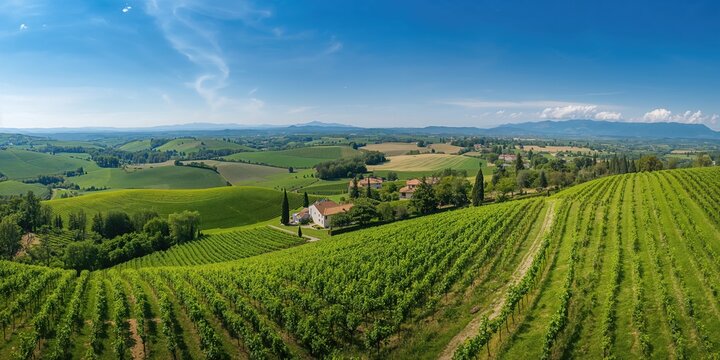 Aerial view of the Franciacorta landscape in Lombardy during summer, vineyard preservation and rural scenery - Powered by Adobe