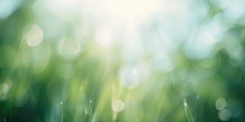 Soft-focus green hues with diffuse light in a natural setting, ideal for editorial header backgrounds