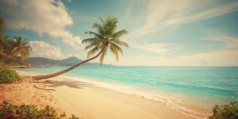 Sunny tropical beach with gentle waves and palm trees, perfect for leisure activities