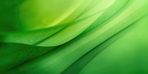 Abstract green textured background, suitable for text layout and editorial headers