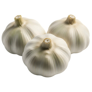 Fresh garlic bulbs close up isolated stock photo healthy food ingredient isolated on transparent background