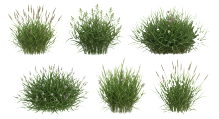 Seven vibrant, dew-kissed emerald grass tufts (poaceae) with detailed roots and small white/purple wildflowers, isolated on a clean white background. Concept of precise botanical asset modeling