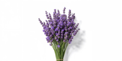 Naklejka premium Bunch of lavender flowers arranged on a white background used for floral design projects