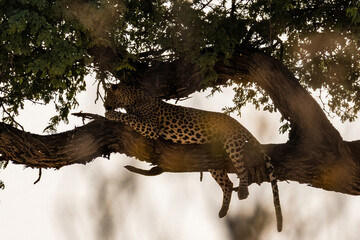 Ein #tag im Etosha Nationalpark 