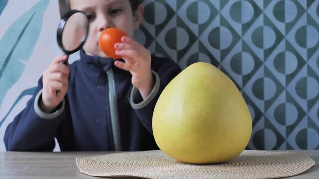 Comparative Study: Young Boy Using a Magnifying Glass to Examine a Small Mandarin Orange