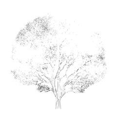 Solid black background with vast copy space, a minimalist dark void for abstract concepts and dramatic visual effects, providing a clean and elegant backdrop.