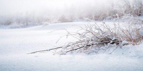 Naklejka premium Dry branches lying on snow in winter landscape, seasonal change