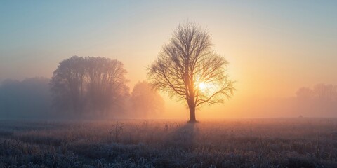 Naklejka premium Dawn in a Dutch village with hoarfrost on trees, highlighting seasonal change and cold weather conditions