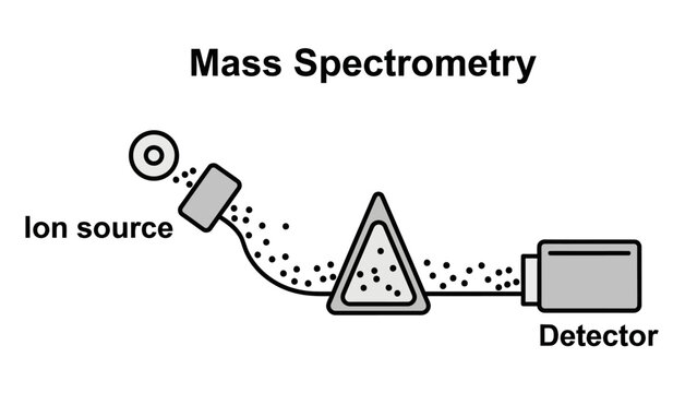 Schematic diagram displaying mass spectrometry equipment and data processing method