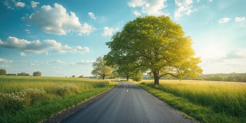 Naklejka premium Country pathway surrounded by wild trees and grass in summer, highlighting outdoor travel and nature preservation
