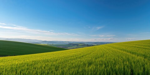Naklejka premium Landscape with lush green fields under a clear blue sky, ideal as a background for text or layout, Earth Day