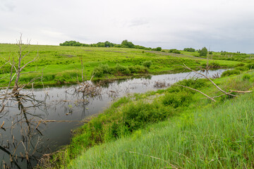 A Beautiful and Lush Green Landscape with a Tranquil Waterway Flowing Through It