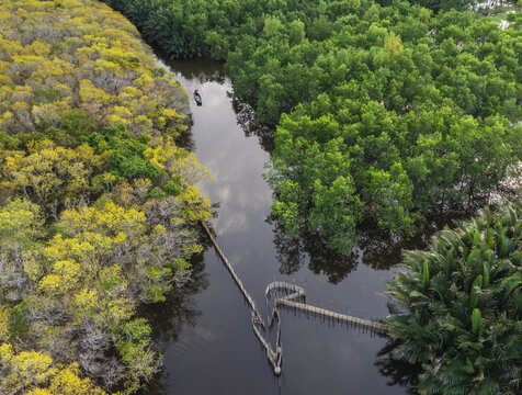Aerial view of a winding river snaking through vibrant green and golden forests, with a small boat and unique bridge adding to the scenic beauty, Huong Tra, Hue City, Vietnam.