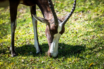 Ein #tag im Etosha Nationalpark 