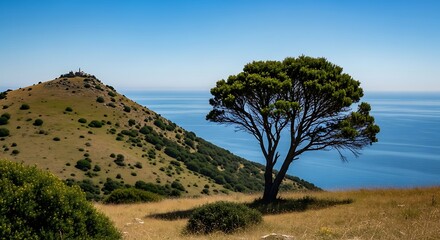 A sunlit scene with a vibrant tree, a distant hill, and the vast ocean under a clear blue sky