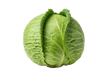 Obraz premium A vibrant deep green, whole head of crisp, textured cabbage with glistening dewdrops, isolated on a seamless white background in shadowless high-key studio light. Concept of organic purity