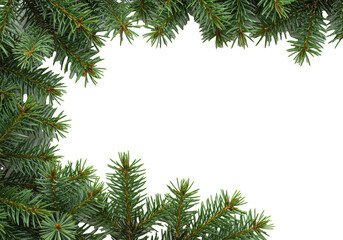 Macro close-up of emerald green fir branches forming a corner frame on a pure white, high-key studio background with copy space, sharp focus and frost details. Concept for minimalist christmas