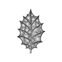 Geometric holly leaf abstract outline vector illustration