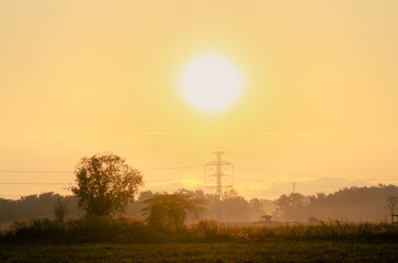The breathtaking beauty of the countryside in the morning mist, with sunlight illuminating trees in the rice fields, Phayao, northern Thailand.