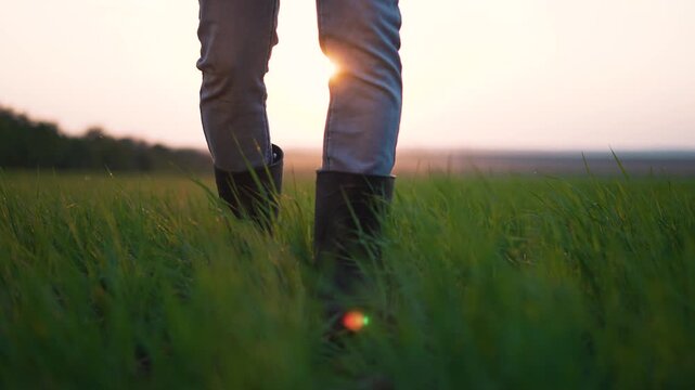 Walking through tall green grass person in boot steps across open field toward low horizon at sunset showing leg movement and silhouette of person in nature with warm light over meadow and wildflower