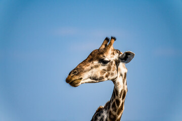 Ein #tag im Etosha Nationalpark 
