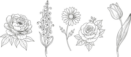 PrintElegant Botanical Line Art Set, Hand-Drawn Peony, Delphinium, Daisy, Rose, and Tulip Collection, Minimalist Floral Engraving Style Vector Illustration, Black and White.