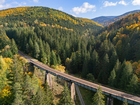 Aerial view of a viaduct cutting through a dense forest with autumn colors in the Kremnicke vrchy mountains, Cierna voda valley, Zilinsky kraj, Slovakia.