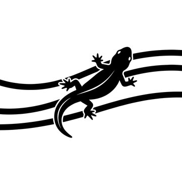 Top view salamander silhouette on granular minimal sand lines vector illustration