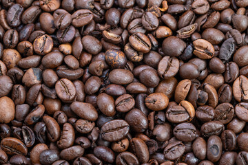 Earthtoned coffee beans emphasizing fair trade and cooperative farming, Detailed view of environmentally friendly roasted coffee beans highlighting origin and sustainable practices