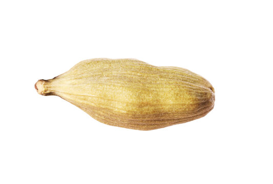 One dry cardamom seed isolated on white