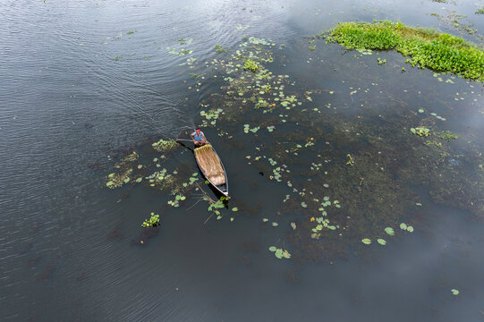 Aerial view of a lone boat cuts through the dark, rippling water, surrounded by patches of vibrant green vegetation, Sirajdikhan, Dhaka Division, Bangladesh.