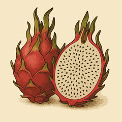 Dragon Fruit Illustration cut in half, vector illustration