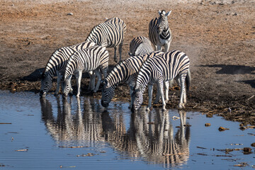 Ein #tag im Etosha Nationalpark 