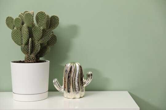 Beautiful prickly pear cactus in pot and decor on light table near green wall. Space for text - Powered by Adobe
