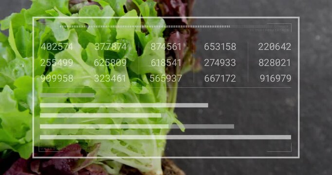 Overlay showing, HUD grid updating, bars growing, camera panning in, showing lettuce detail