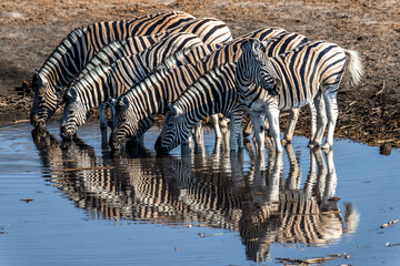 Ein #tag im Etosha Nationalpark 