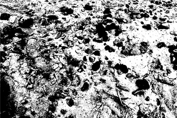 Black and White Grunge Texture Background