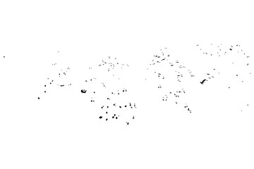 Black and White Grunge Texture Background