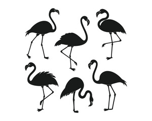 Obraz premium A graphic design featuring six black silhouette illustrations of flamingos in different elegant stances and postures