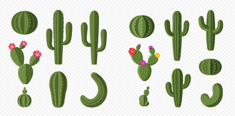 Collection of various cartoon cactus plants with flowers on transparent background.